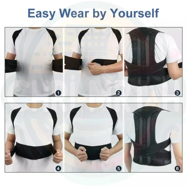 Back support belt