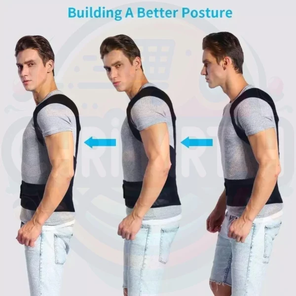 Back support belt