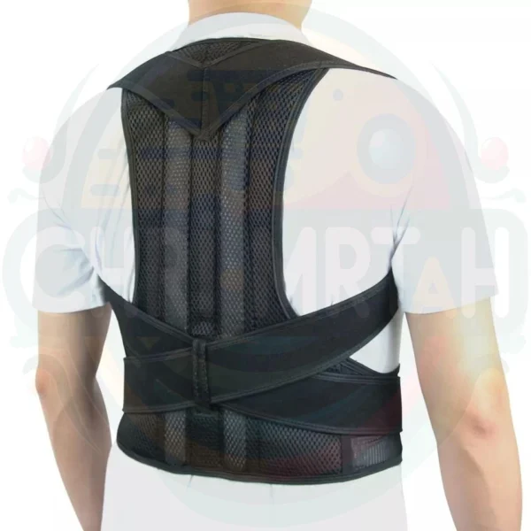 Back support belt