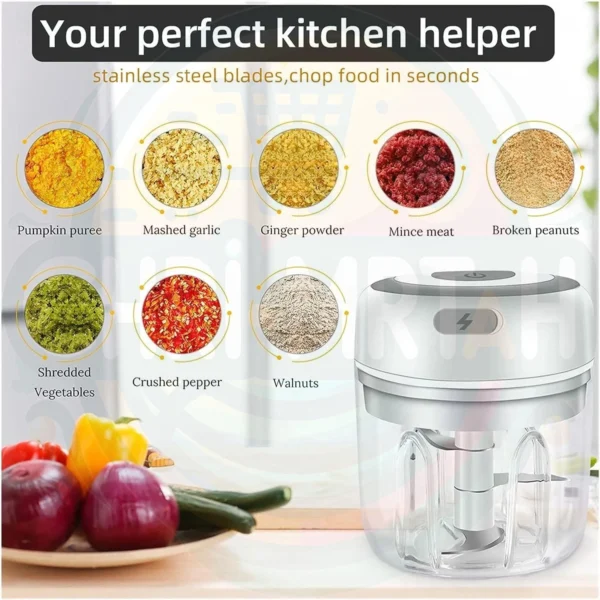 Electric Mini Food Chopper