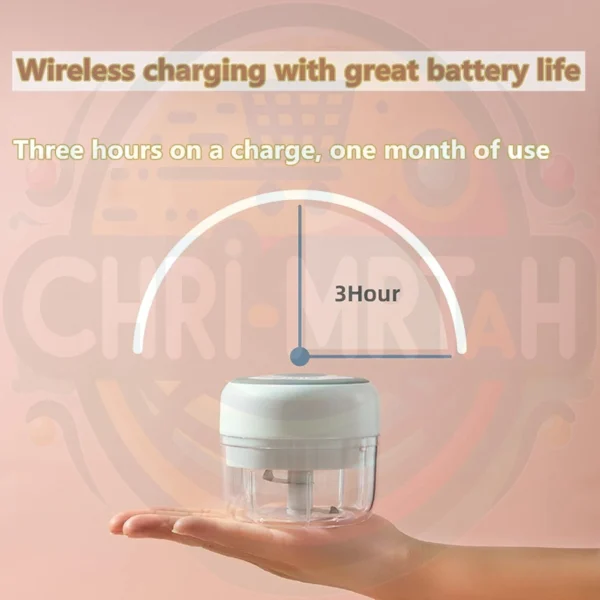 Electric Mini Food Chopper