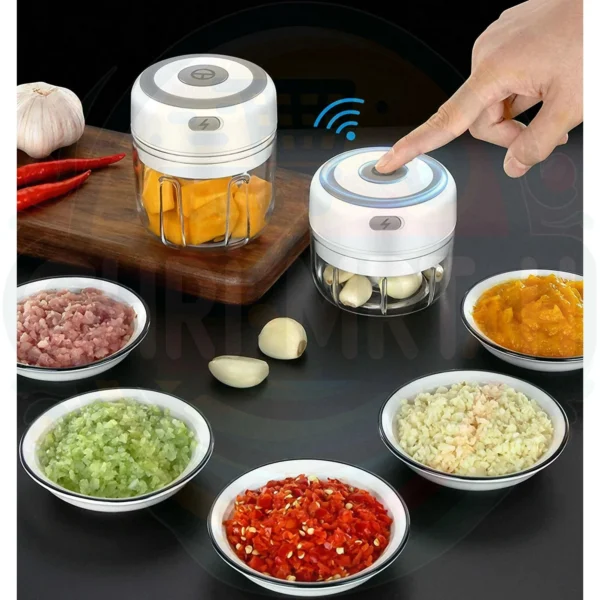 Electric Mini Food Chopper