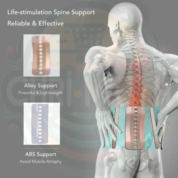 Lumbar Support Belt For The Back