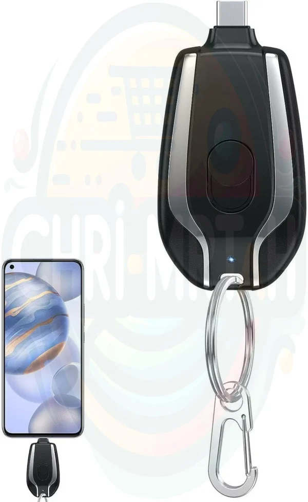 Mini Emergency Charger