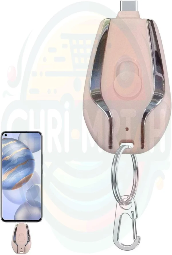 Mini Emergency Charger