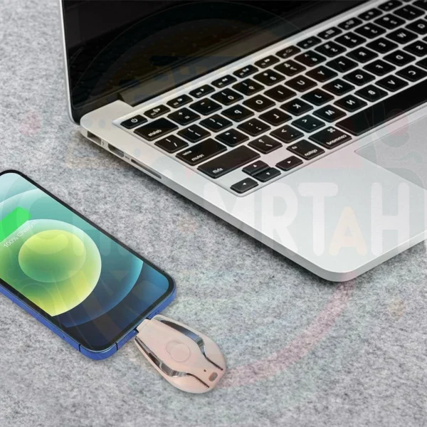 Mini Emergency Charger