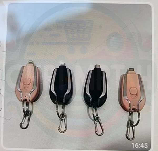 Mini Emergency Charger